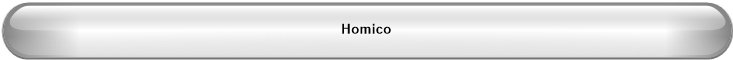 Homico